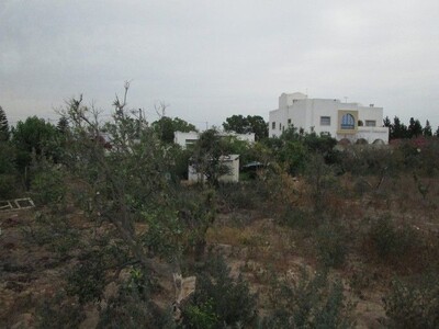 AV Terrain en face théâtre Hammamet