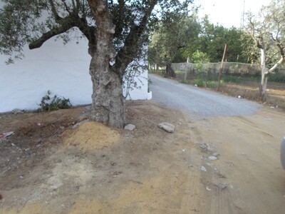 AV un terrain proche de centre ville hammamet
