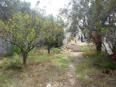 AV un terrain enface de SINDBED Hammamet