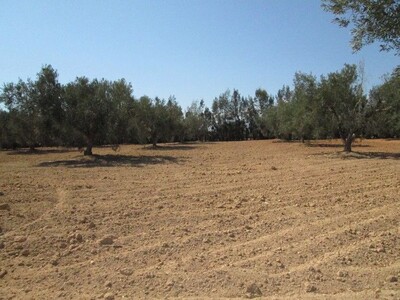 AV Terrain 994m Basbaseya 10min à Hammamet Sud