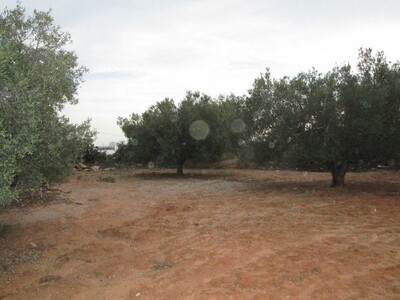 Terrain 300m a Kharrouba