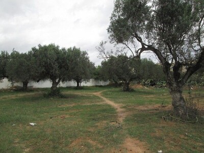 Terrain 1725m à Moncef bey