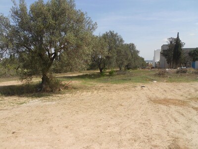 AV un beau lotissment à barreket essehel hammamat