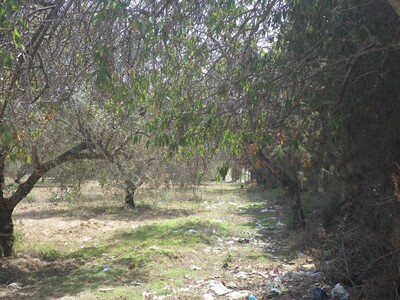 for sale subdivision on the main road to barreket sehel hammamet