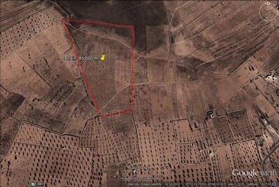 Un grand terrain de 85000 m