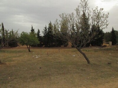 Terrain 600m Sidi Hamed a 10 min de Hammamet