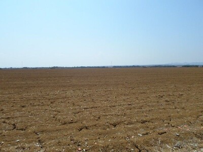Great bare land of 15000 m close to Hammamet Sud