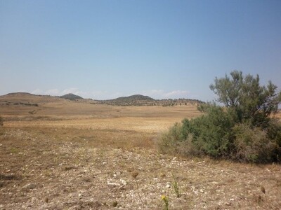 Terrain 60 hectar jradou entre zaghouan et Hammamet