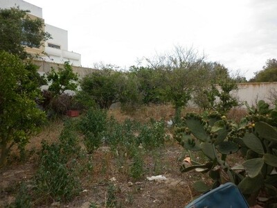 Terrain 200m en face e théâtre Hammamet