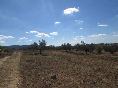 10 hectares à hatouz direction Zaghouan