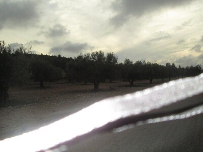 AV 1hectare 5000m à sidi Khalifa