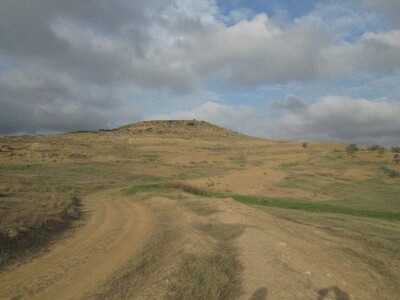 Terrain situé en route de zagwene  planté des oliviers