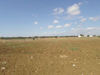 A vendre terrain hammamet sud