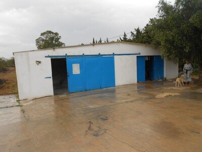 AL une petite ferme à hammamet