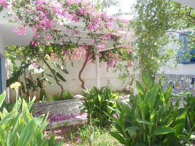 for rent beautiful large villa in hammamet manaret