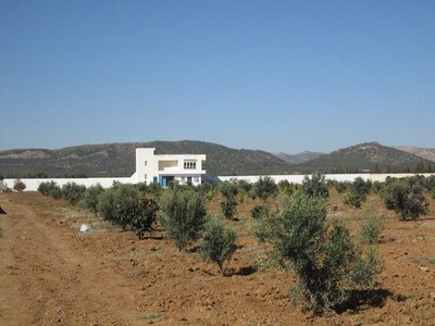 Senya 4 hectare 4000m avec maison de campagne friguia
