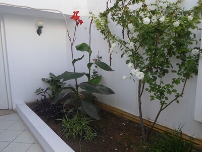 al jolie appartement non meublé à hammamet nord côté Delia
