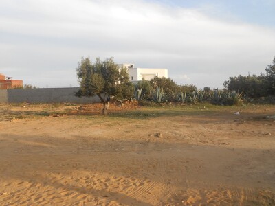 av vaste terrain à hammamet nord