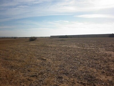 Terrain 4 hectares et 6500m à douikhla Hammamet sud