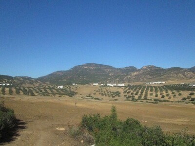 Terrain 4 hectares à Mziraa