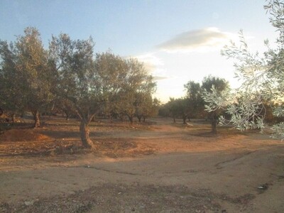 Terrain 130m a bir bouragba