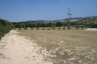 for sale a bare land 1 Ha 7333 metres not far from Yasmine