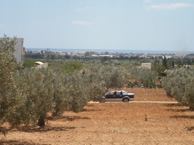 Terrain 170m a 10 min de Hammamet Sidi Hamed