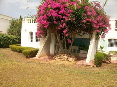 House ManarA Hammamet Nord Mimosa