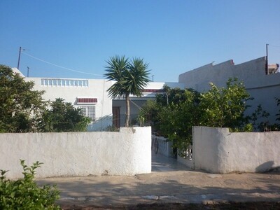 Offre unique dans les vergers de Hammamet