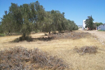 av terrain pas loin de yasmine hammamet