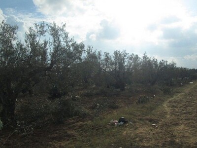 Terrain 1893m à la compagne et à 10 min de Hammamet