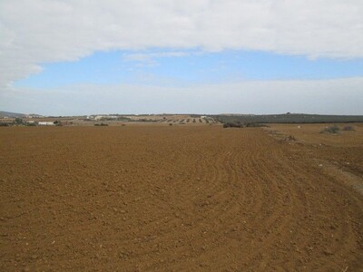 Terrain 6 hectares à dwikhla Hammamet