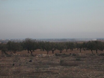 Terrain 1100m dwikhla Hammamet