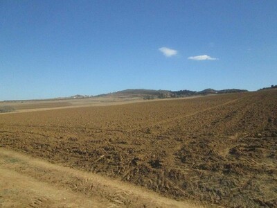 Terrain 3 hectares a loué