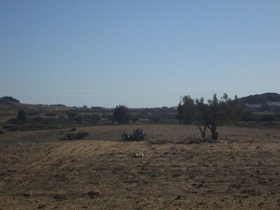 Field 2hectares and 4000 m in sidi Kristin Hammamet