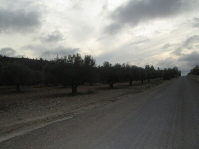 AV à Sidi Khalifa 20min de Hammamet 15000m