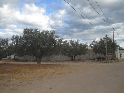 Terrain 800m à Hammamet nord