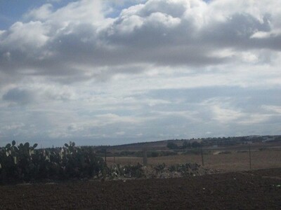 AV terrain agricole 25000m à sidi Jdidi