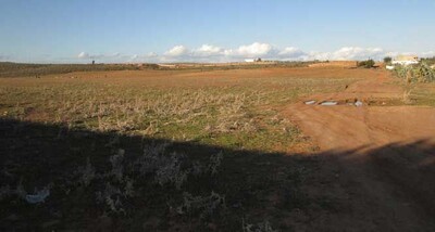 1 hectare à sidi Hamed à 10min de Hammamet