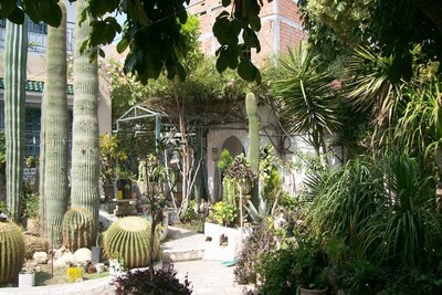 for sale a beautiful villa with beautiful garden in hammamet