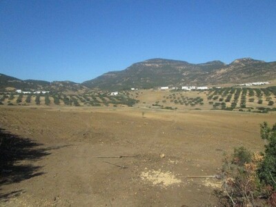 AV Terrain 4 hectares à Mziraa
