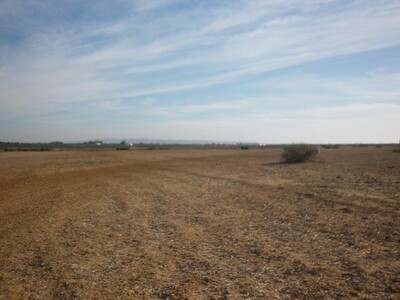 AV terrain agricole à douikhla Hammamet