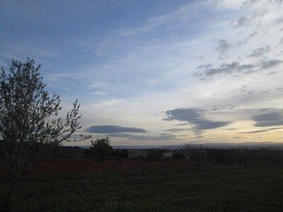 AV terrain agricole 8250m vue de mer Hammamet