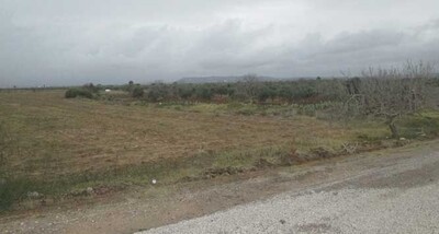 AV terrain agricole à sidi saidi