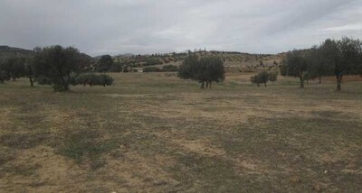AV terrain agricole 53950m à 10min de Bouficha