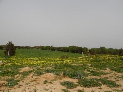 BARGAIN LAND FOR THE FUTURE