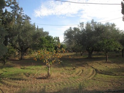 A 10min de Hammamet Sud AV terrain 15000m