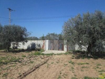 AV terrain clôture à la campagne de Hammamet