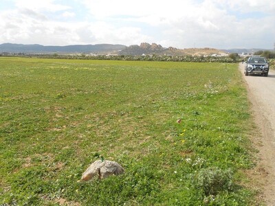 al 7 hectares à sidi jdidi hammamet