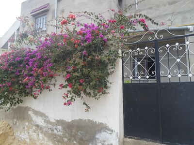 AV 2 MAISON à 2 pas de hammamet